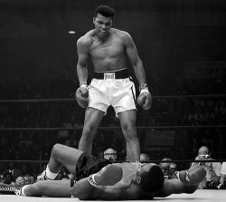 Mla Citation Muhammad Ali
